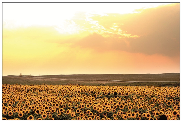 西气东输三线然气管道工程